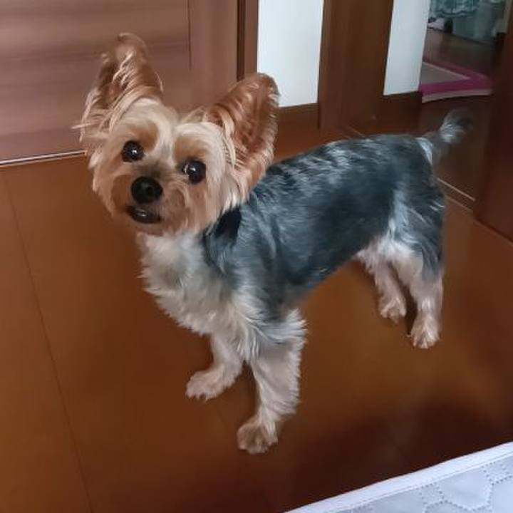 93c1c451 8588 4afd b4dc 44b97f95ceb5 1750827811281