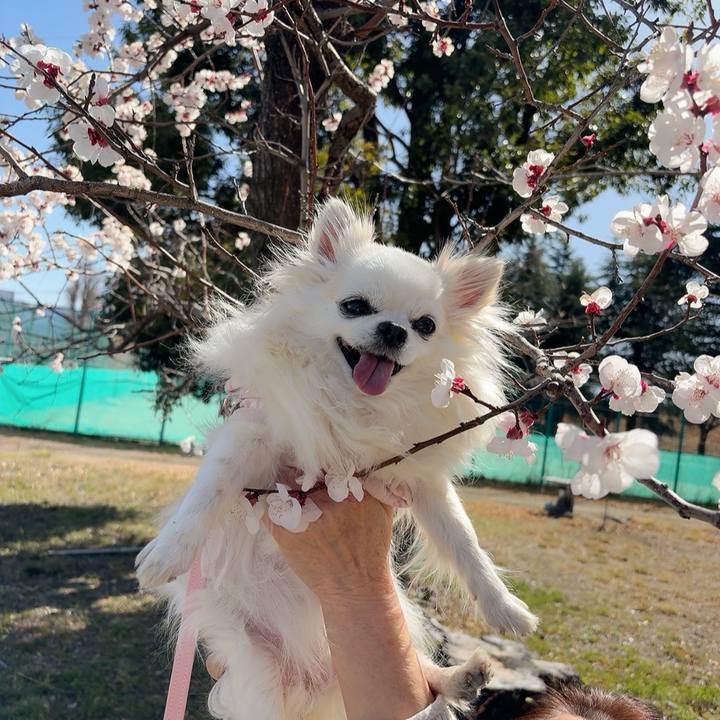 93c1c5b0 057b 4829 ac2b 70ef30723b64 1773575341328