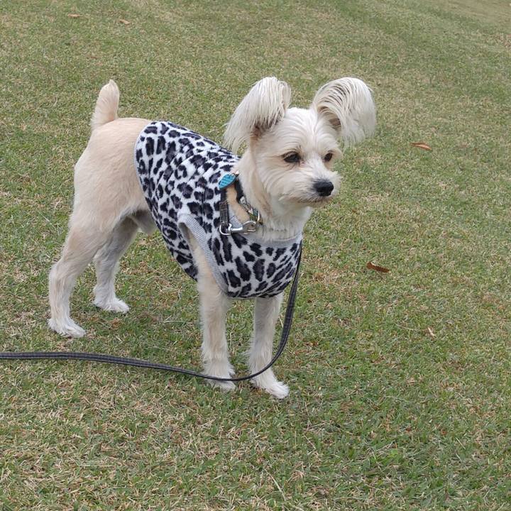 93c1e6ba f4ab 449d 8186 7003c1fbeefe 1510200291700