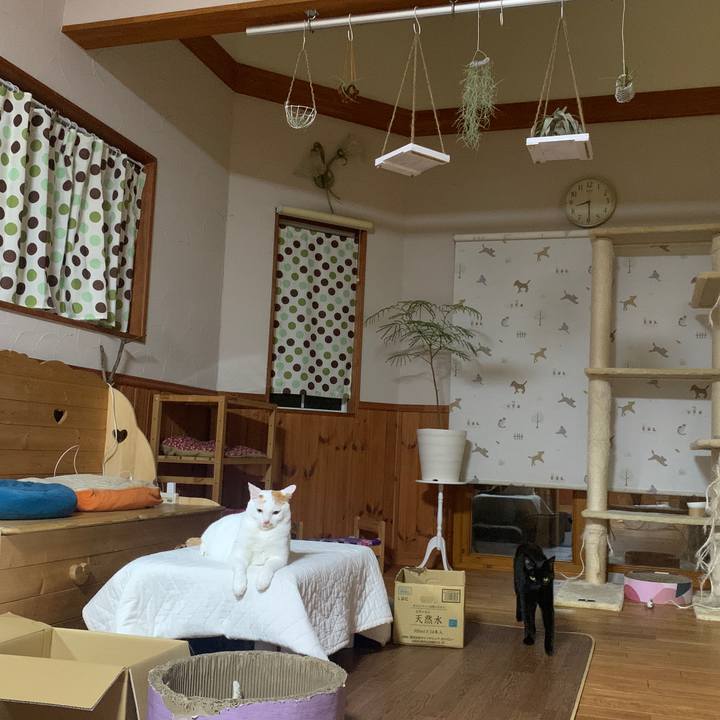 93c205e0 5db0 49be b986 26ce2469a5ce 1652441453233