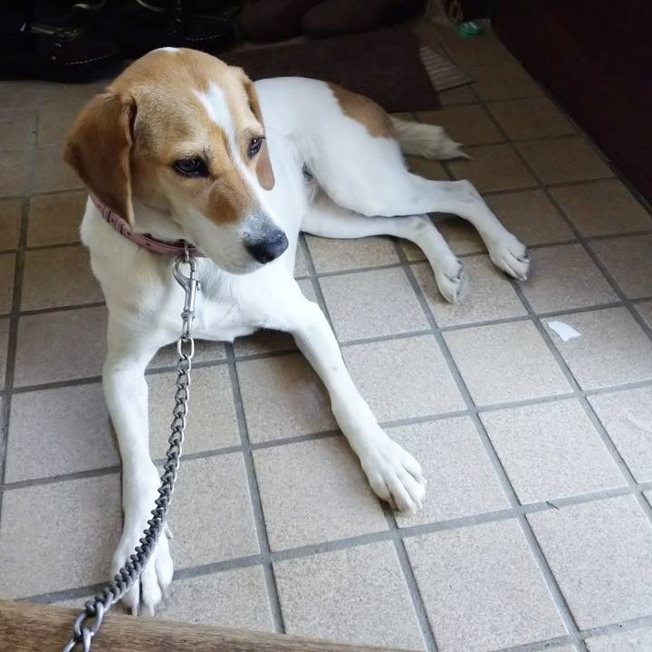 93c243c0 696a 4b8f b8a0 5ba8b5f14bb7 1592453386717