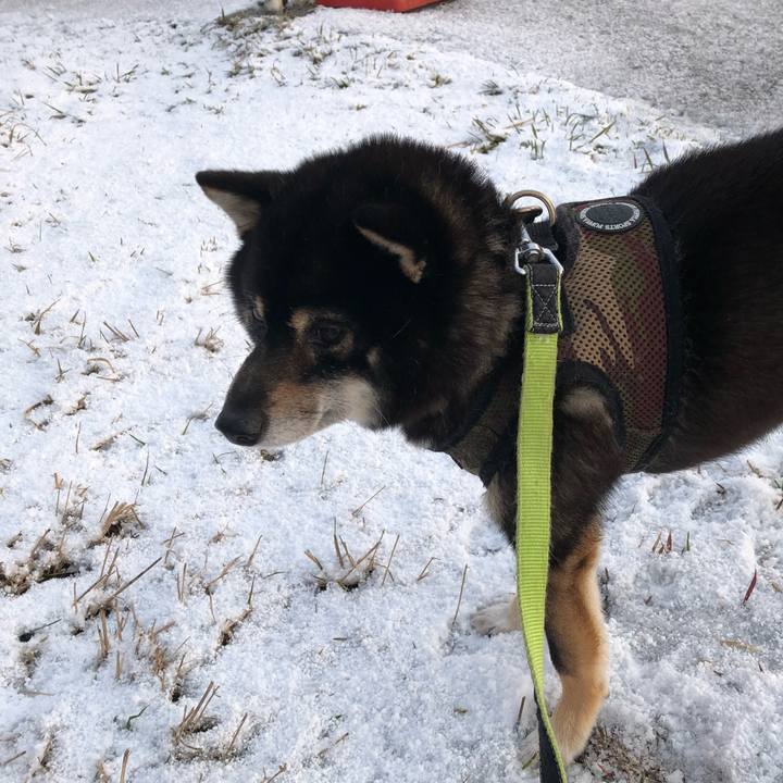 93c26a1e 301e 47a1 8b22 65dfe35ba093 1523148652463