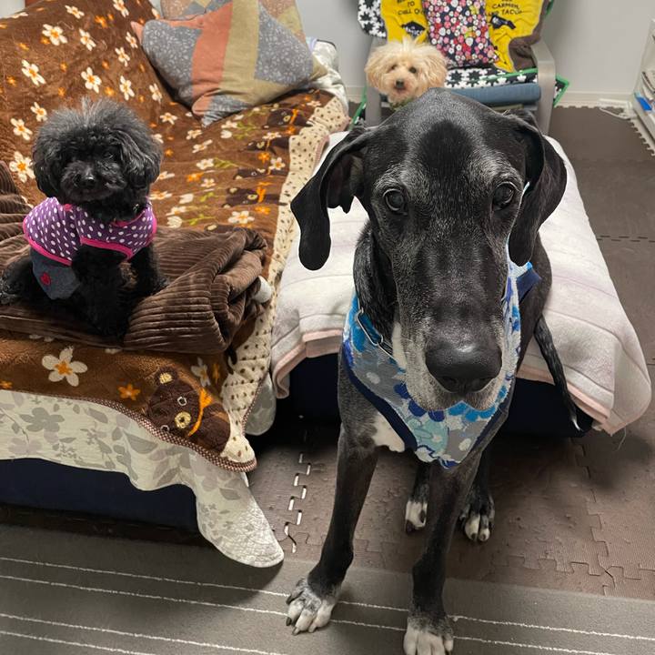 93c27d99 0ec1 4098 a027 26f4135763ee 1615156570645