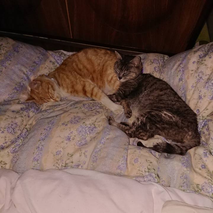 93c2a794 8c64 4049 8cb6 78bb80f64b30 1588687579491