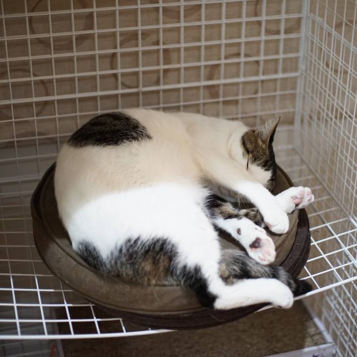 93c2cd69 9681 406f 96b8 f385115da577 1521503215364