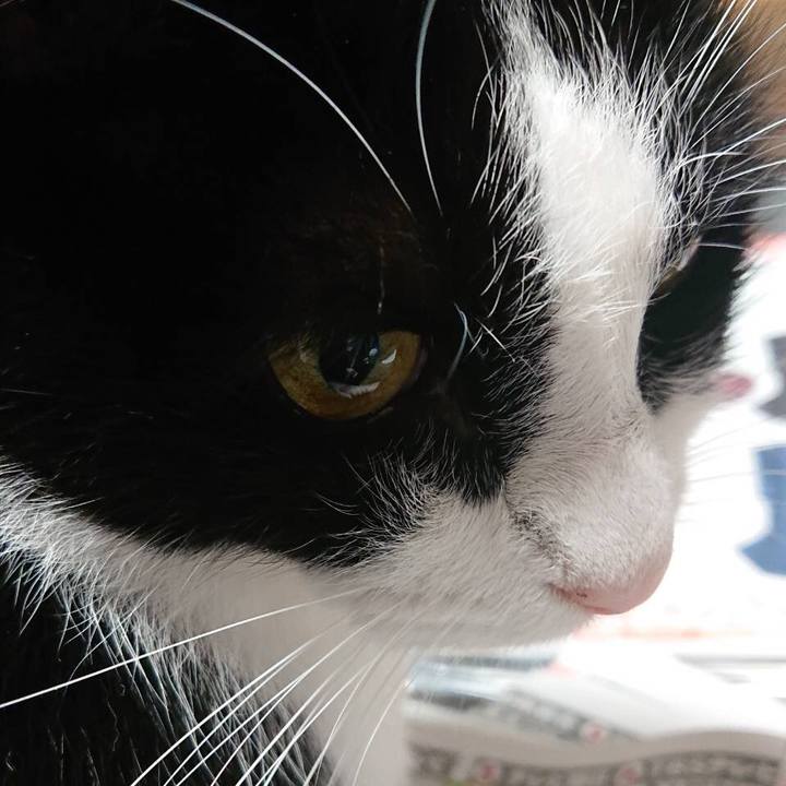 93c2d4aa 0076 40b2 b921 016151e04d54 1578836985375