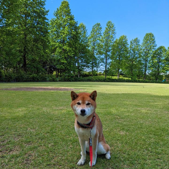 93c2fefb 43c2 4c4d 9a0c e823a72876ff 1718071375772