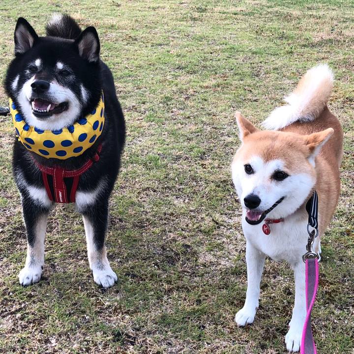 93c359f5 727d 4142 8dce 0cd3d43f814a 1532906741331