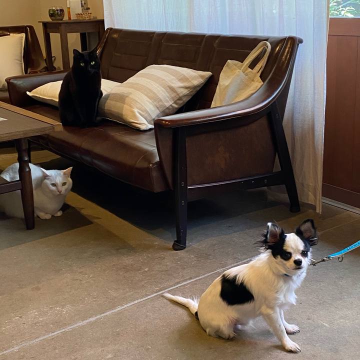 93c37167 e816 4510 9db3 c81b1a8f97cd 1587006487158