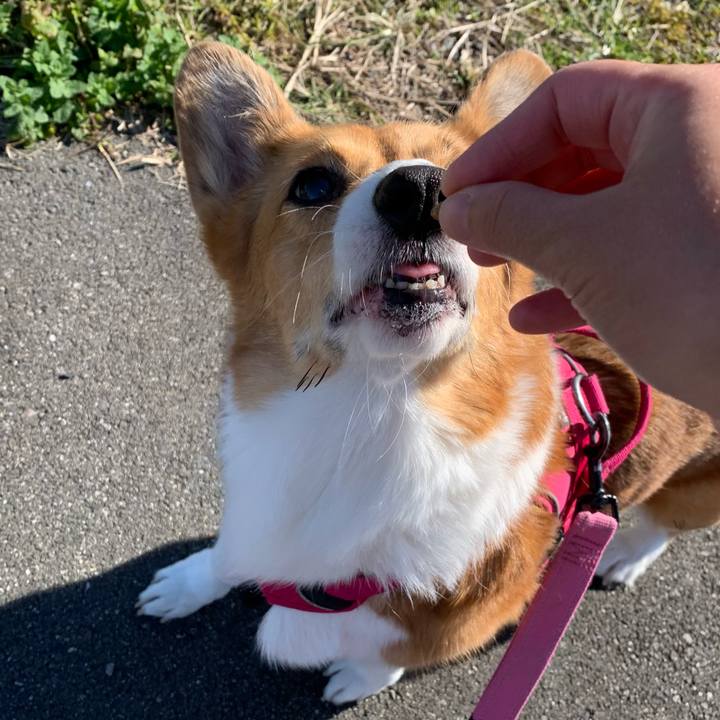 93c385ae 19fd 4d1d 82b3 7fd1af41a65e 1700365607055