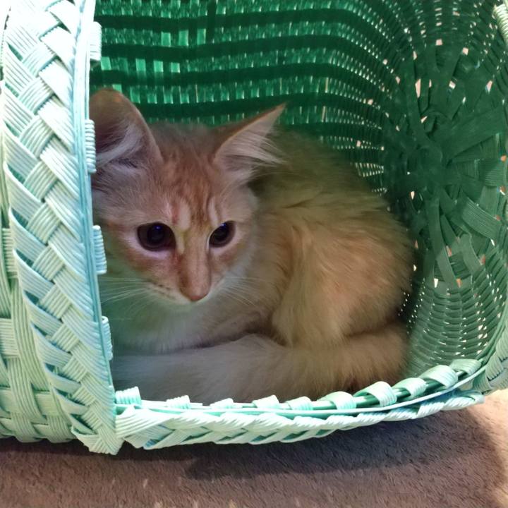 93c3bedf 2cf8 4af8 915f 7a45865dc6e6 1614342523177