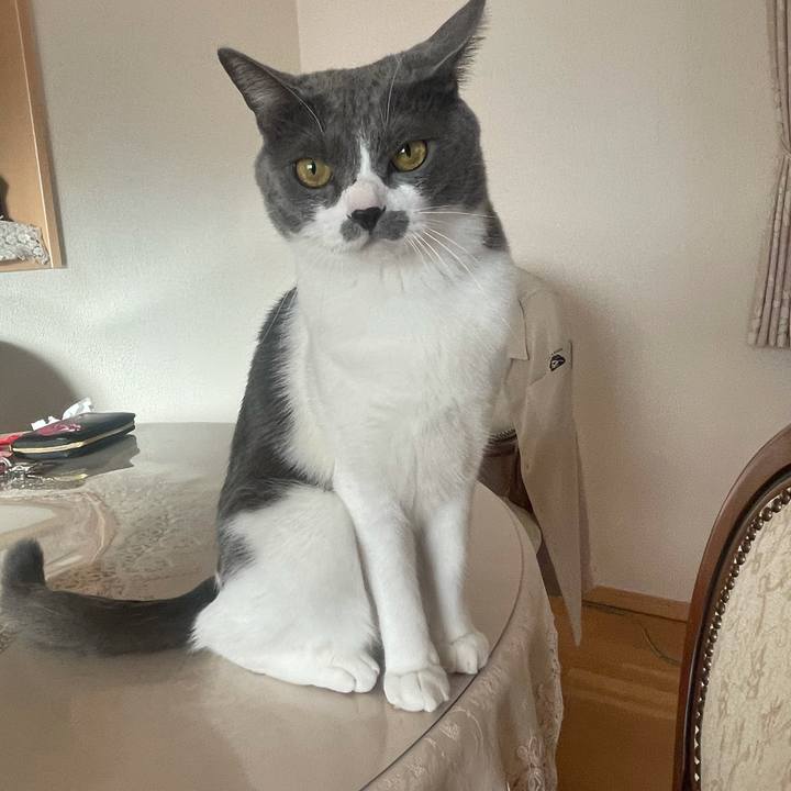 93c3c06d 665f 4dbe 917a 9f8b4d465371 1634457558365