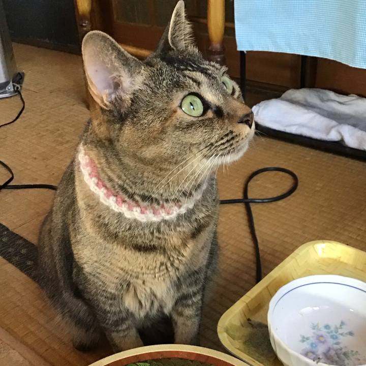 93c3d2da b3b4 4c5e 87af fc1dfebb3d98 1669377233475