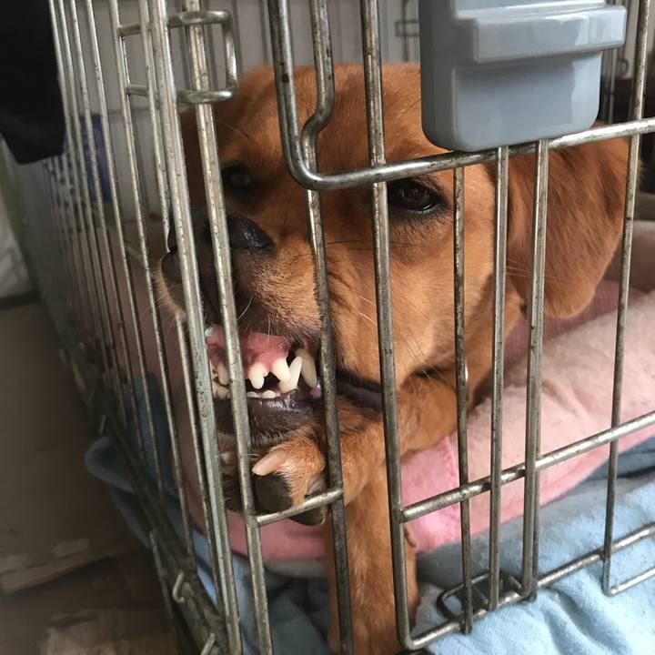 93c3d3d1 0c13 4c55 8bf1 8ba3ad7e0135 1509760242378