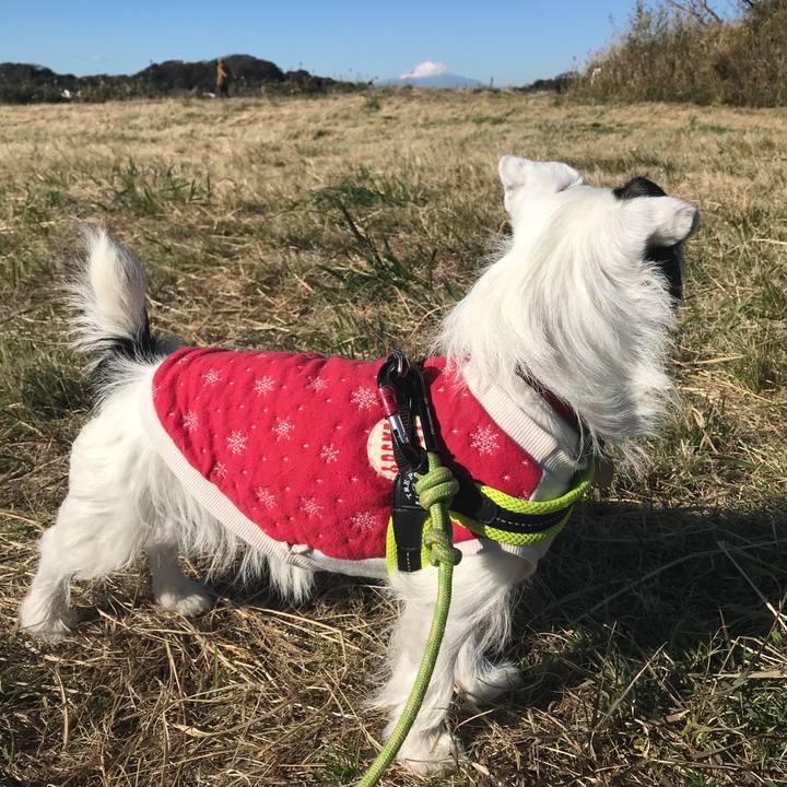 93c3d576 1002 4396 914d 56088913a594 1511228188001