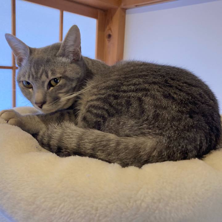 93c40023 ff77 45ac a51b 4138e72d4765 1677029643878