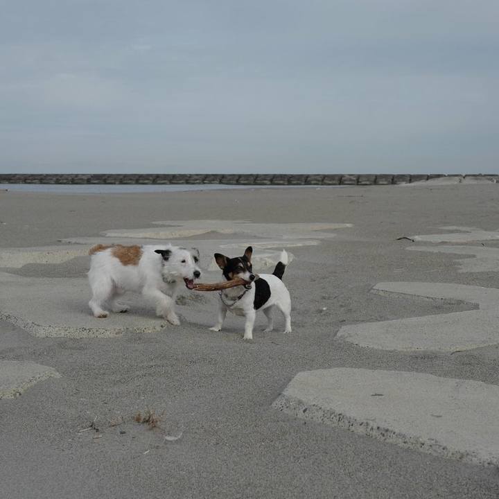 93c407e4 4e7f 4e74 97cf 70cb5204a010 1523679913605