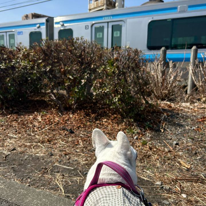 93c462af 3365 4859 9e30 a6b736d4151a 1742031442427