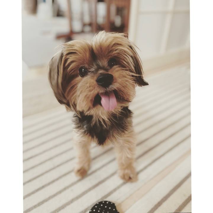 93c46e62 b805 4aae 93e6 9efebfdf6991 1661665747278