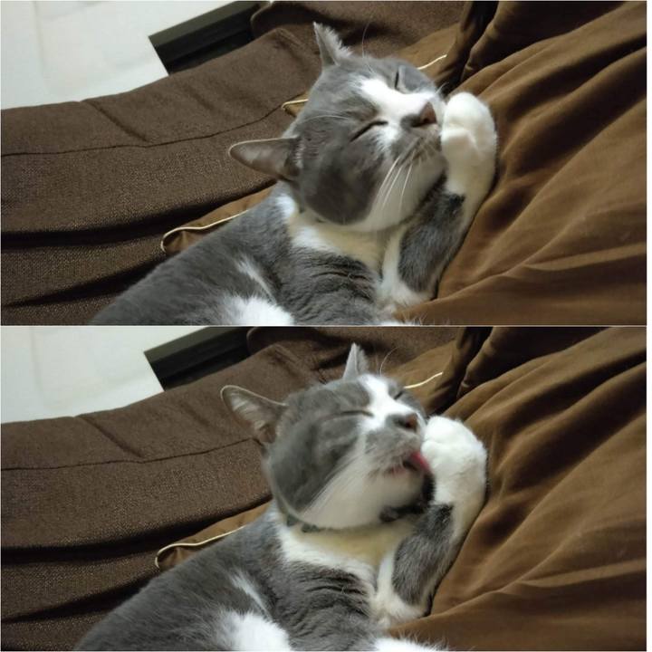 93c489e6 cfd6 49bf 9b29 dbb97165c35b 1677575994844