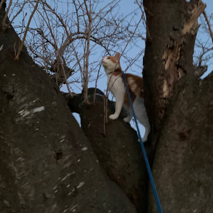 93c4ba77 40c7 4a80 97cc f940b1e9c74b 1577179062085