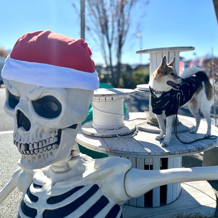 93c4c86a 6386 4b2e ae03 e750d41d10ca 1764814435745