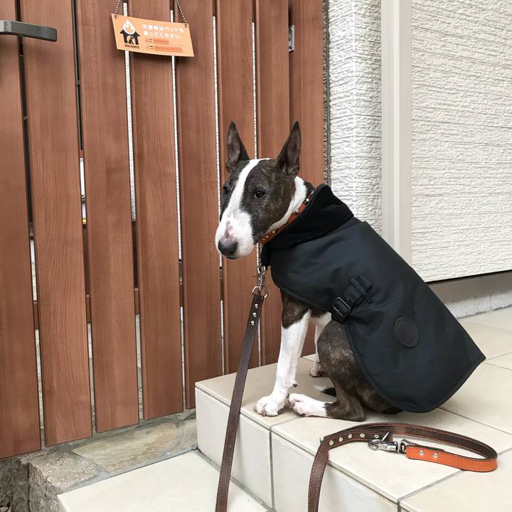 93c4ce2d fc9f 475a bc32 083ecf634284 1518336638140