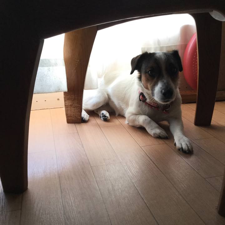 93c4cf2b 4450 4e9c bee1 c4749cd745cb 1522921185165