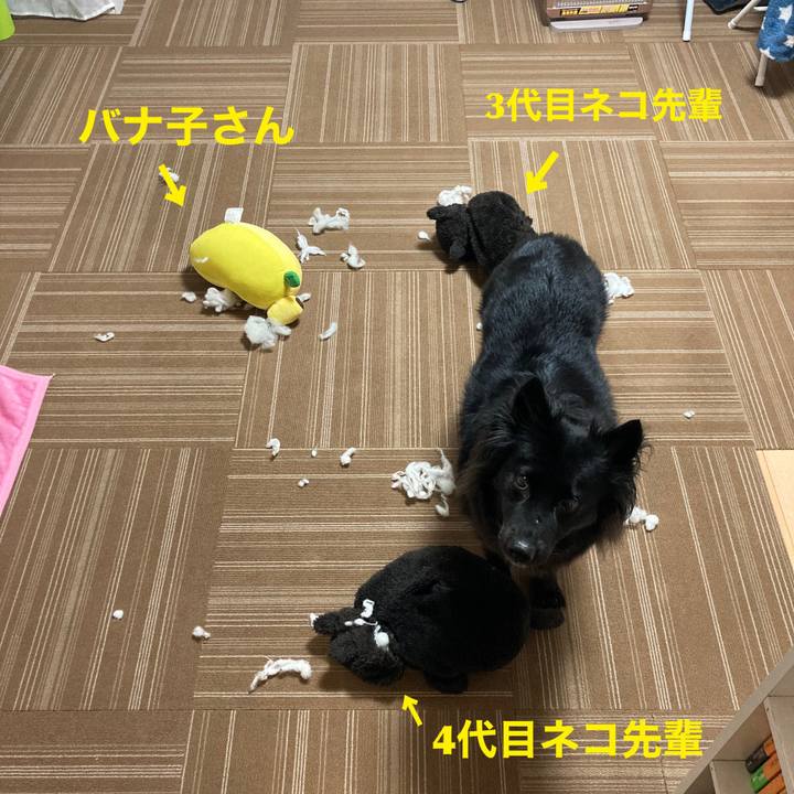 93c4e256 2951 4919 aa73 4dcb4db222c0 1615851368925