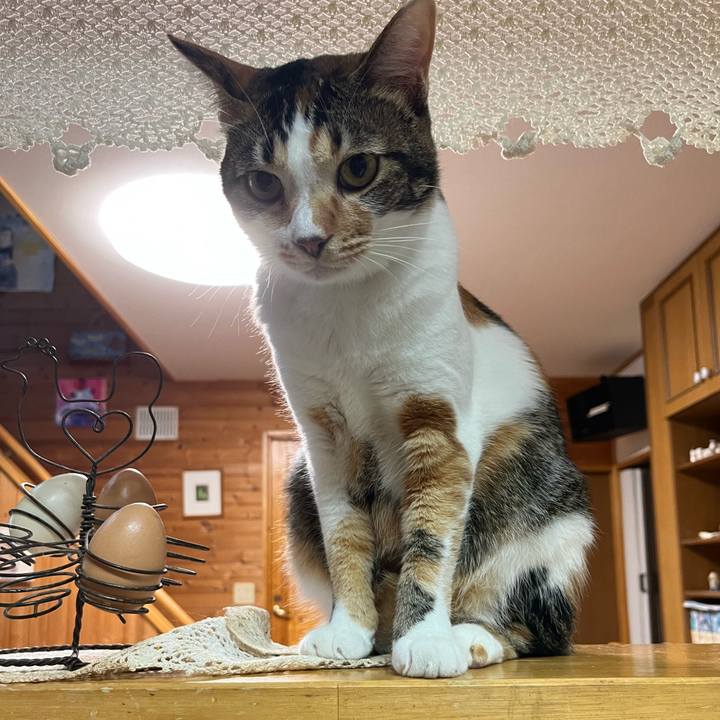 93c4e274 4586 4f7e 834c 527e0b0e8220 1691619228768