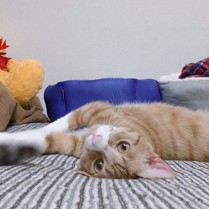 93c4e953 0a85 4d24 a0e4 dd74de68021d 1570717768999