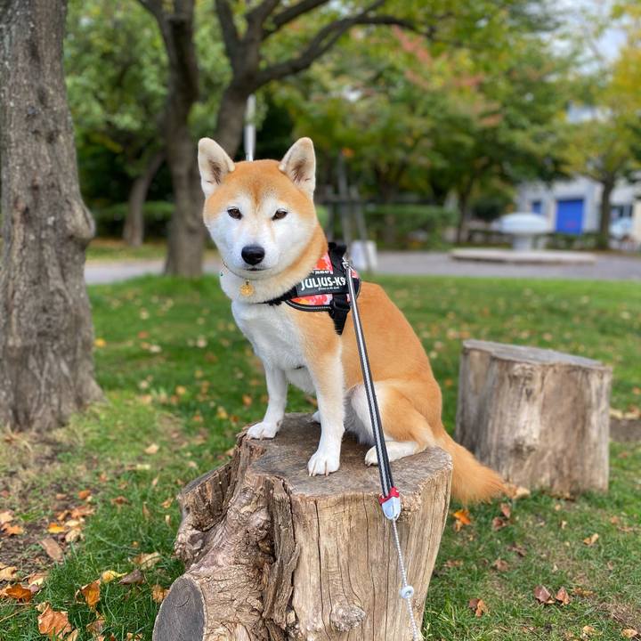 93c4f673 884a 4e42 bd84 a5437289d70f 1602723596822