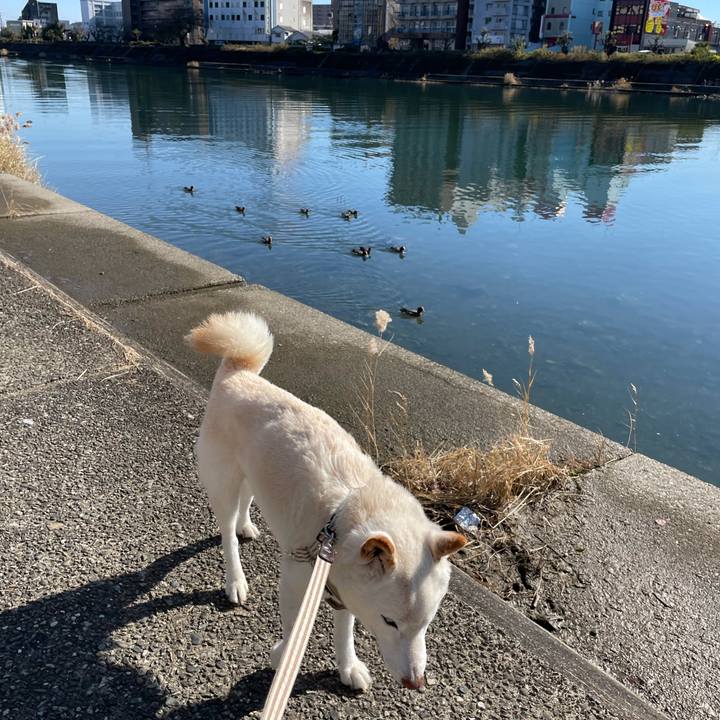 93c52cb5 0167 401d 9eb2 ca5b9c35fa20 1639231182686