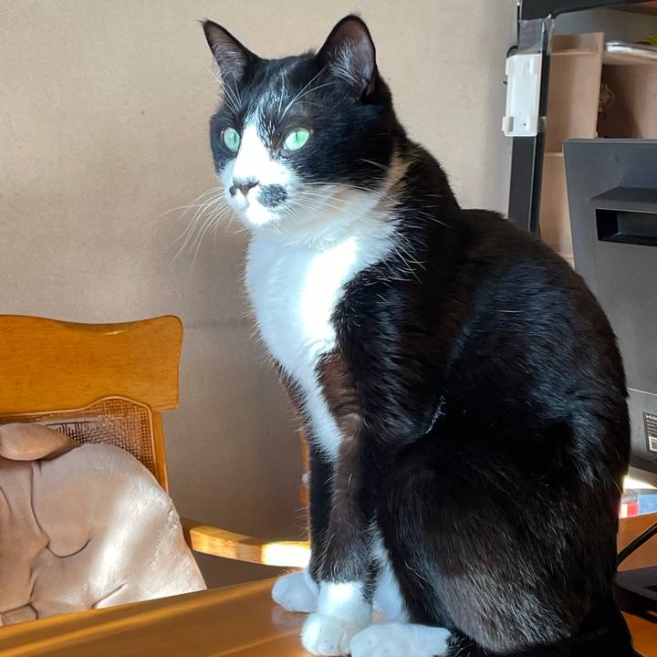 93c54463 10ee 4c04 b1b5 431d89981aa3 1738884817732