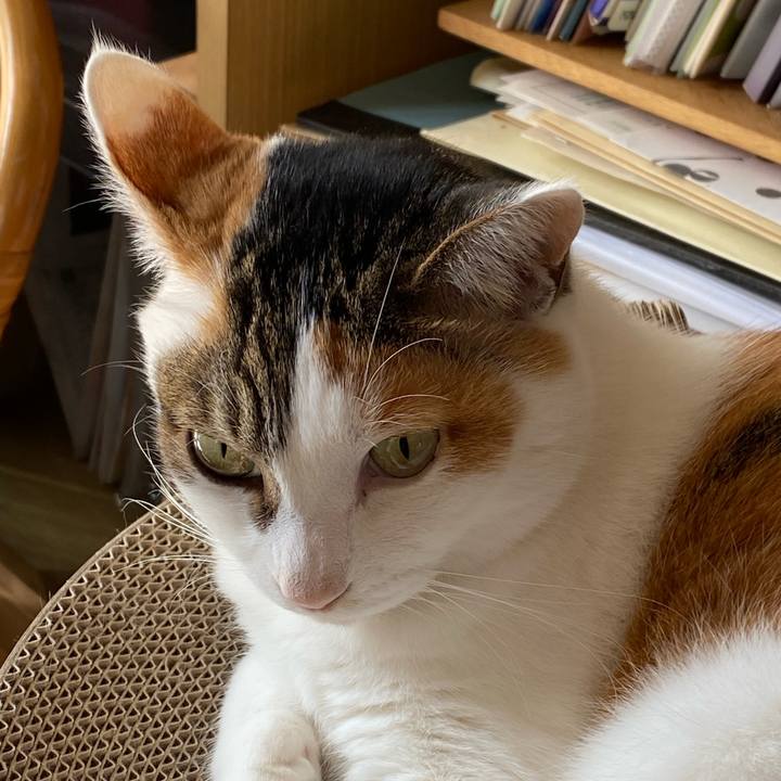 93c56d73 8e15 4c89 bfcf 93681caf6c8b 1770341840791