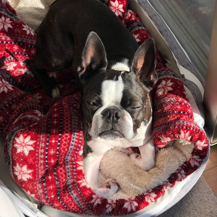 93c5dd12 4e04 4cbe 935f de3e66d3ecd4 1674384568642