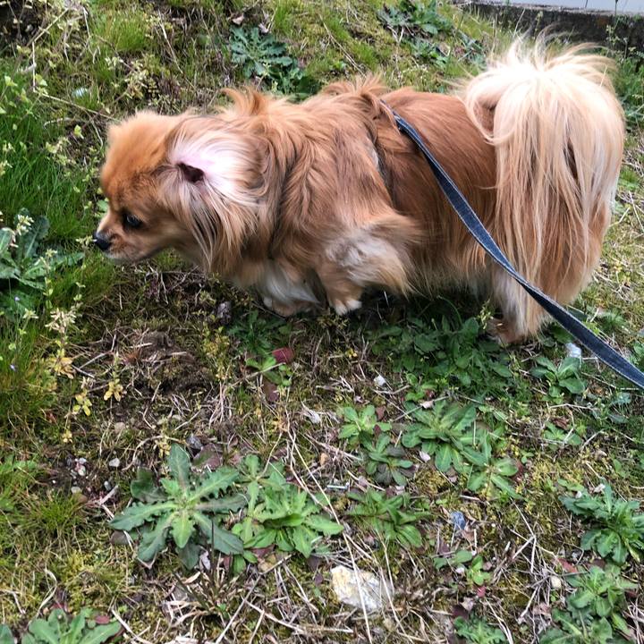 93c5f3b8 b204 4177 8be7 59183e57e08a 1555622508305