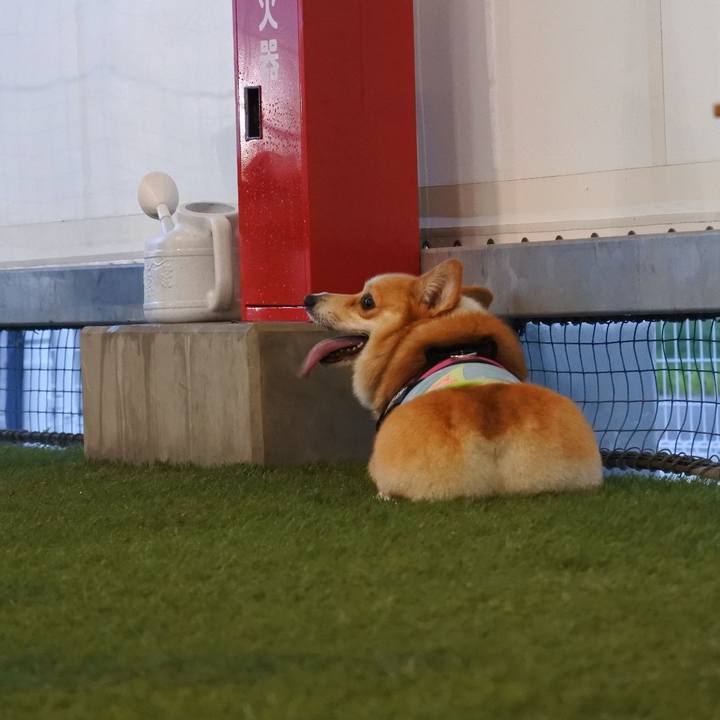 93c61492 12a9 4bf2 9bf6 ef99e5017e1a 1596986341802