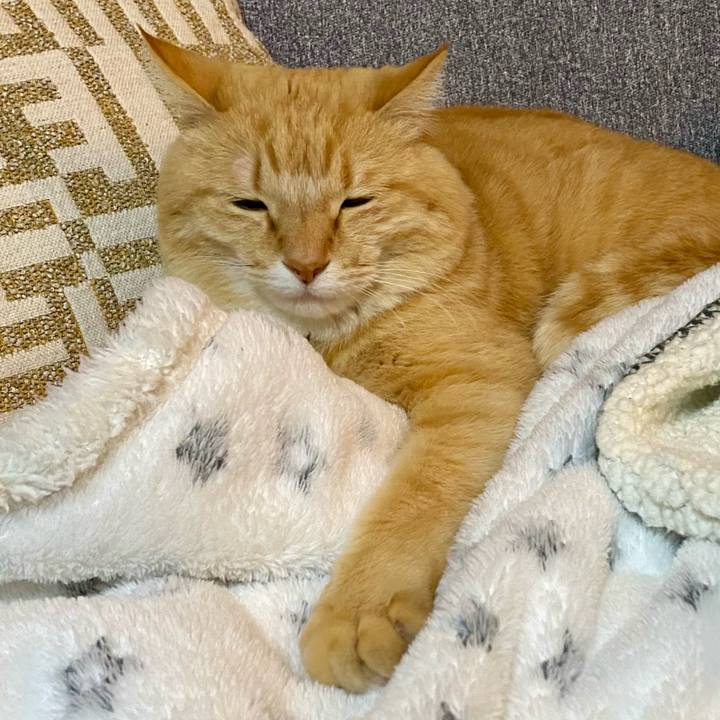 93c61643 b248 48e4 8010 8735ae3bd90c 1772970774183