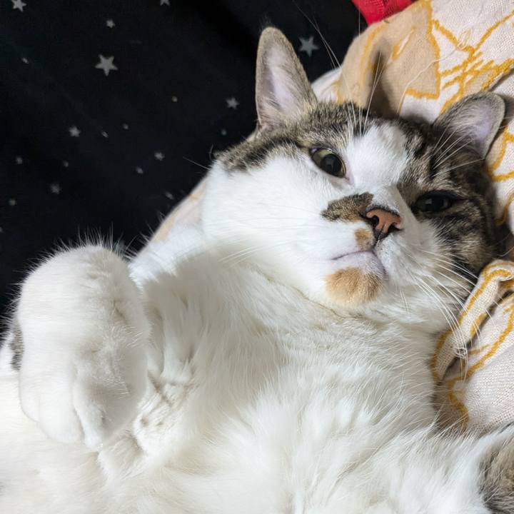 93c62c4d d882 4688 b374 6b485e08080c 1725143024307