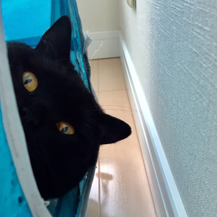 93c676f8 87d9 4408 a0c1 d338805a509d 1561781358000