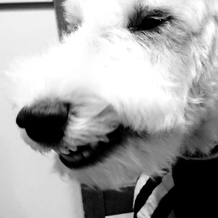 93c6add5 bf39 4bab a43b e4399def56b3 1511263167645