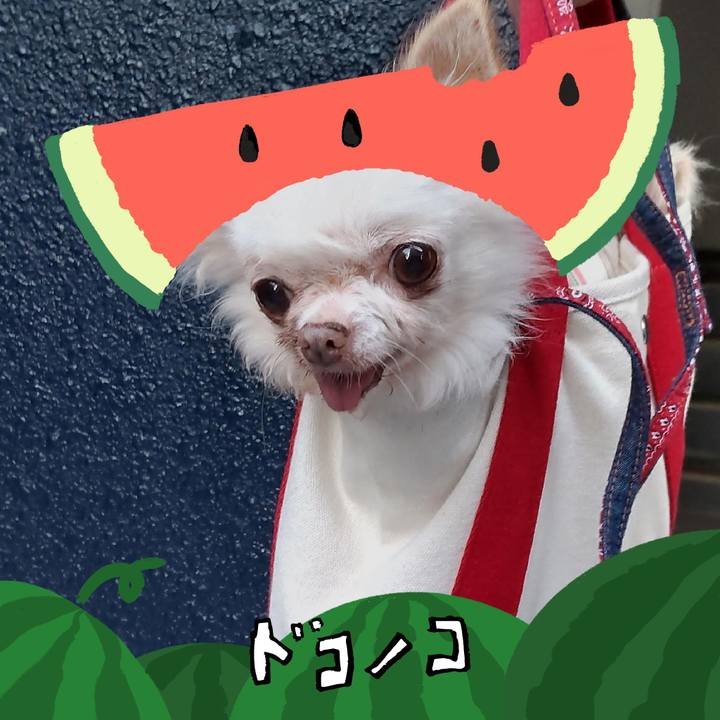 93c6cd0c b137 44fd 9539 f1741588d805 1720857819193