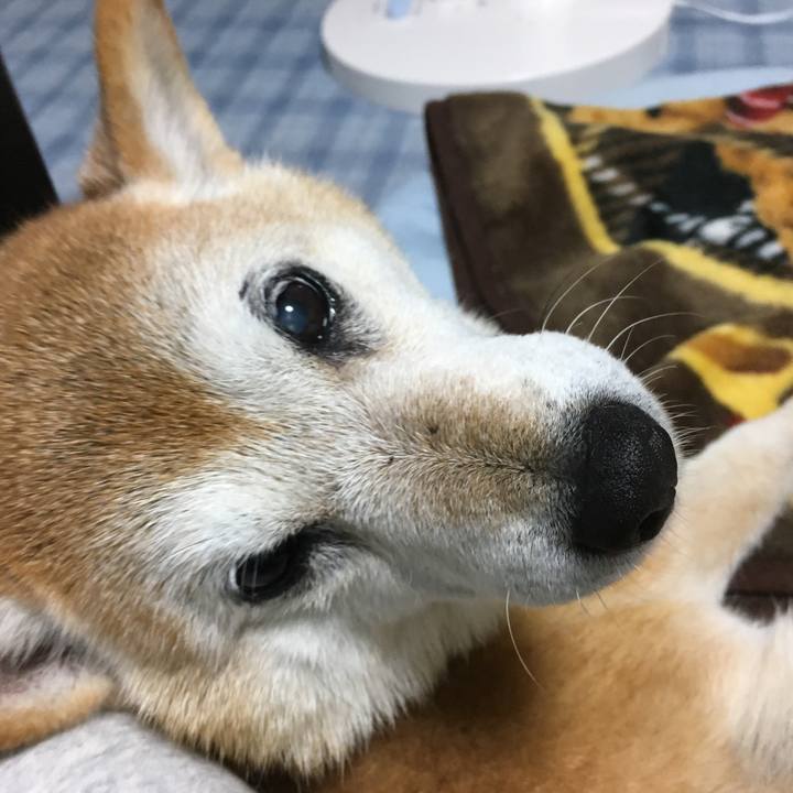 93c6e3ee 96f7 4892 9c1f 5171b928dc7d 1508931176432