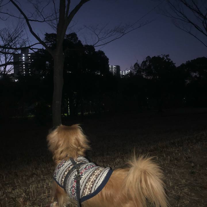 93c6ed13 5f27 465d ae60 24647ad7c92c 1547069880769