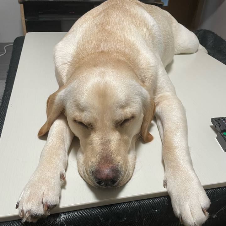 93c725eb 73c5 420c bcd9 b9e773f3fd97 1645101741993