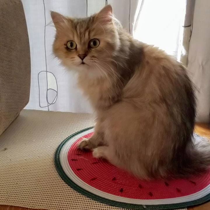 93c72abf 7b79 4e52 bc1c dda751c637ab 1628656534867