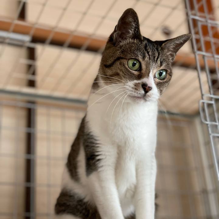 93c75fcb 7aba 424a a3d8 21269883a361 1648088546590