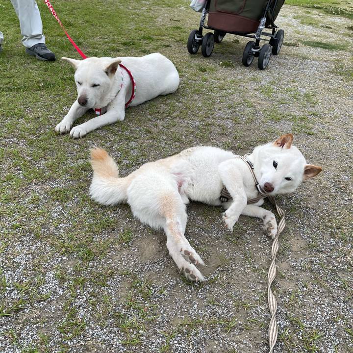 93c761c8 ed70 485c b2eb cb6c98dd9388 1654877886699