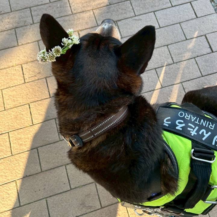 93c7657e 2ae4 47c9 8765 a739ee8dbb2c 1746083755715